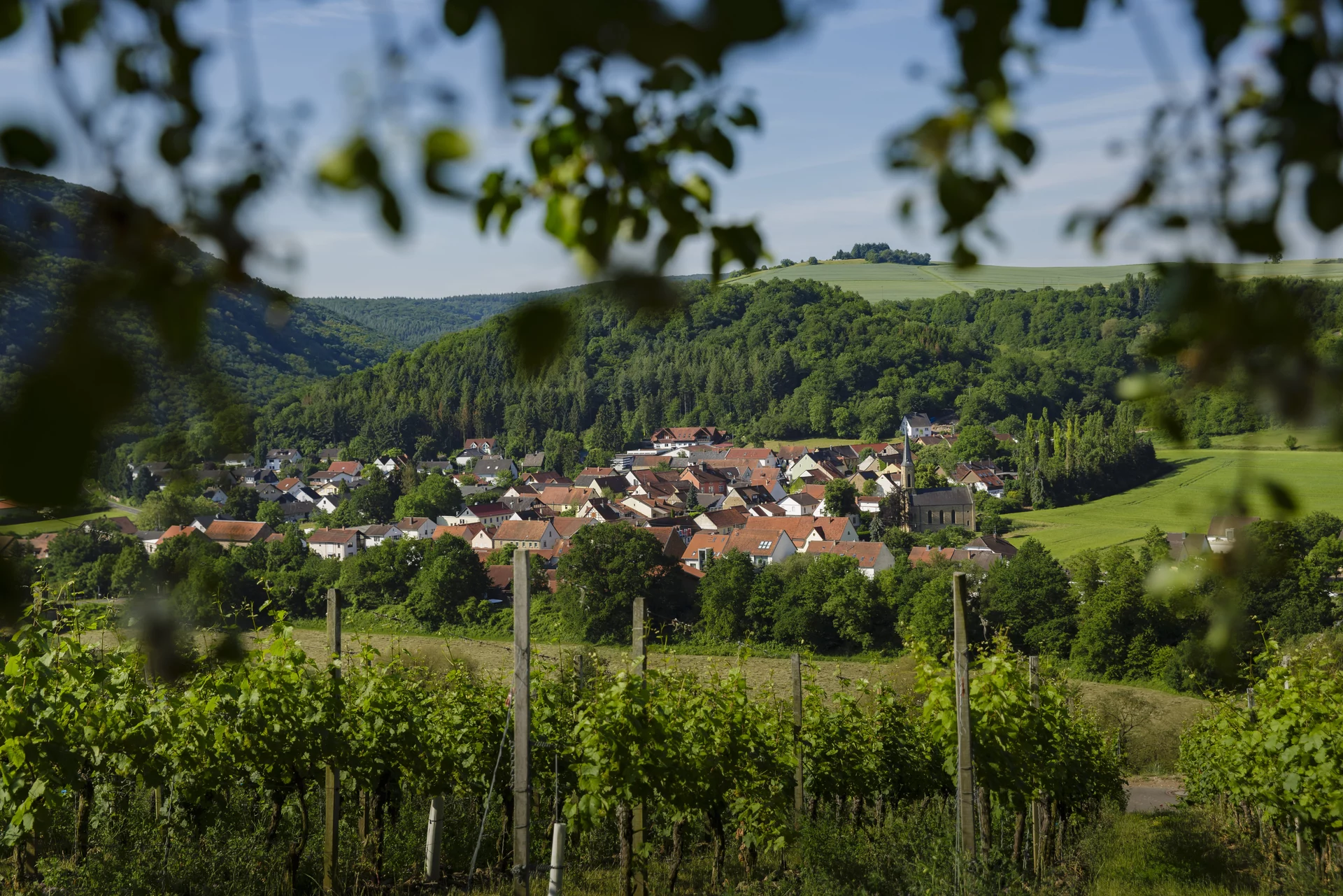 Blick auf ein Dorf in einer grünen Landschaft.