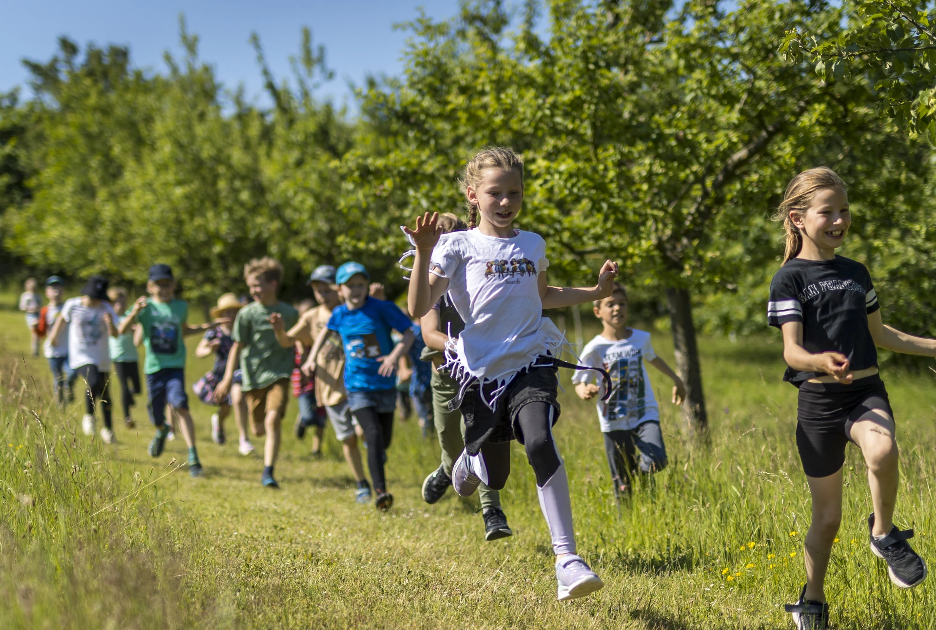 Kinder laufen über eine grüne Wiese.