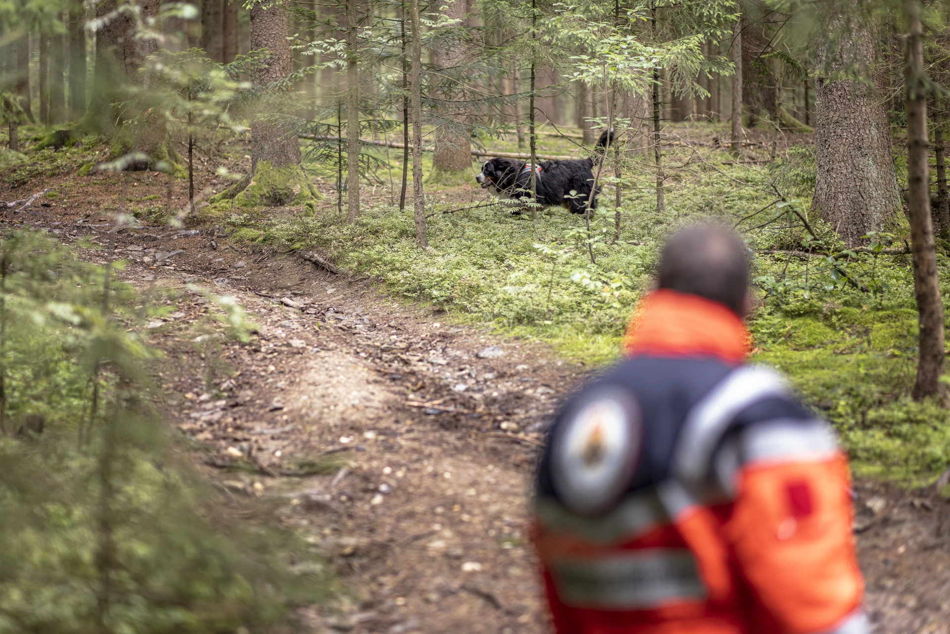 Ein Mitarbeiter der Rettungshundestaffel mit Hund im Wald